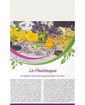Fiori