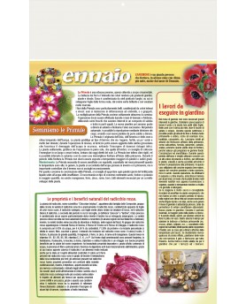 Orto e Giardino
